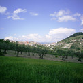 OLIVETO_278.jpg