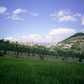 OLIVETO_278.jpg